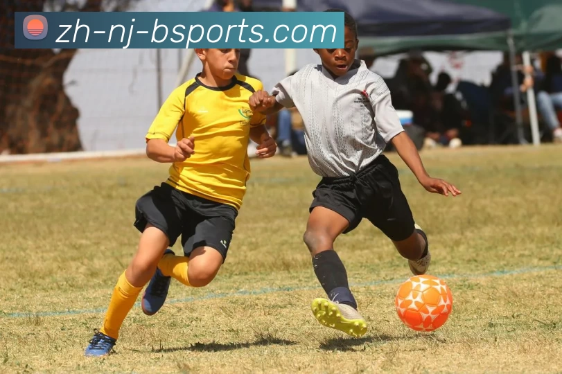 b体育APP 封面图